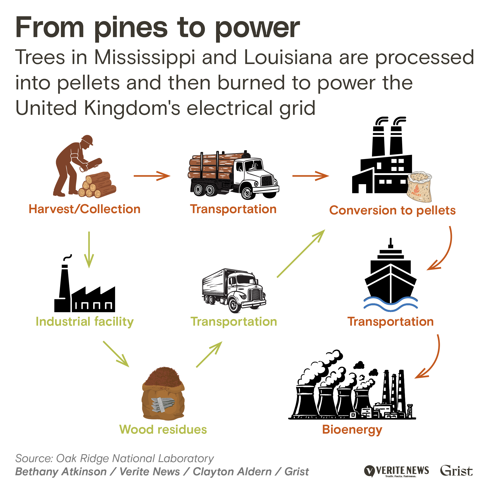 Flow diagram titled 'From pines to power' showing the wood pellet supply chain. The circular process begins with harvest/collection (worker with chainsaw and logs), moves to transportation (logging truck), then to an industrial facility for processing, which produces wood residues. These materials are transported again to conversion facilities where they become pellets, then transported by cargo ship overseas to bioenergy facilities (power plants with smokestacks) in the United Kingdom's electrical grid. Arrows connect each stage in the process.