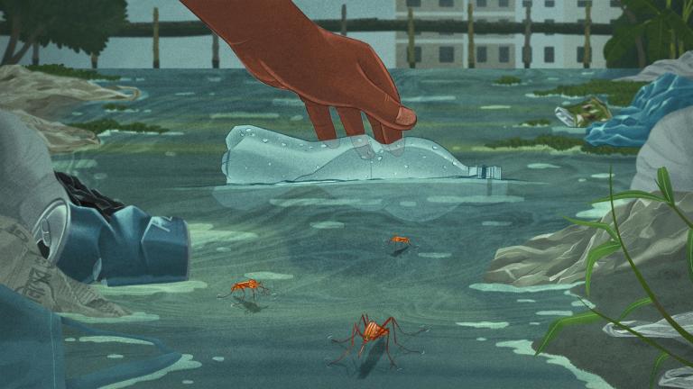 an illustration of a hand picking a water bottle out of a puddle or river. Along the banks, trash such as cans and plastic bags gather. TIny mosquitos dot the expanse of water between banks