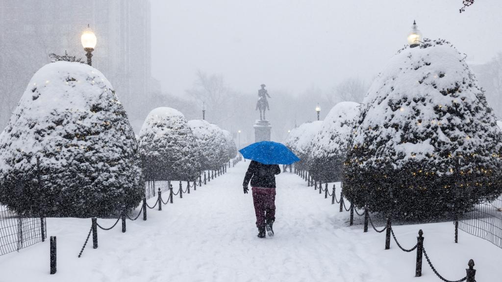 A person bundled up walks down a snow covered path in a snow storm holding a blue umbrella