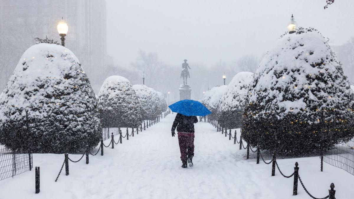 A person bundled up walks down a snow covered path in a snow storm holding a blue umbrella
