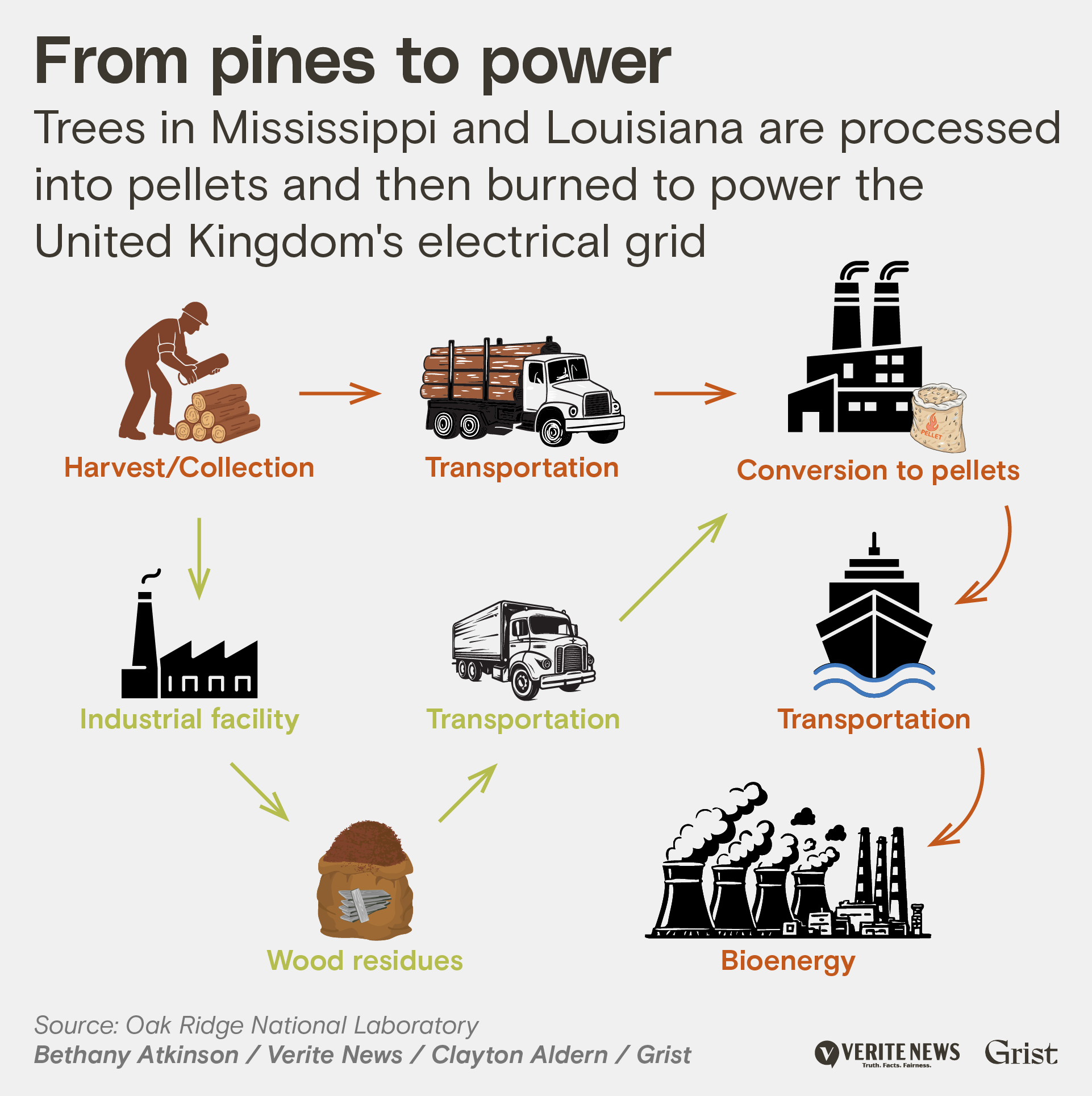 Flow diagram titled 'From pines to power' showing the wood pellet supply chain. The circular process begins with harvest/collection (worker with chainsaw and logs), moves to transportation (logging truck), then to an industrial facility for processing, which produces wood residues. These materials are transported again to conversion facilities where they become pellets, then transported by cargo ship overseas to bioenergy facilities (power plants with smokestacks) in the United Kingdom's electrical grid. Arrows connect each stage in the process.