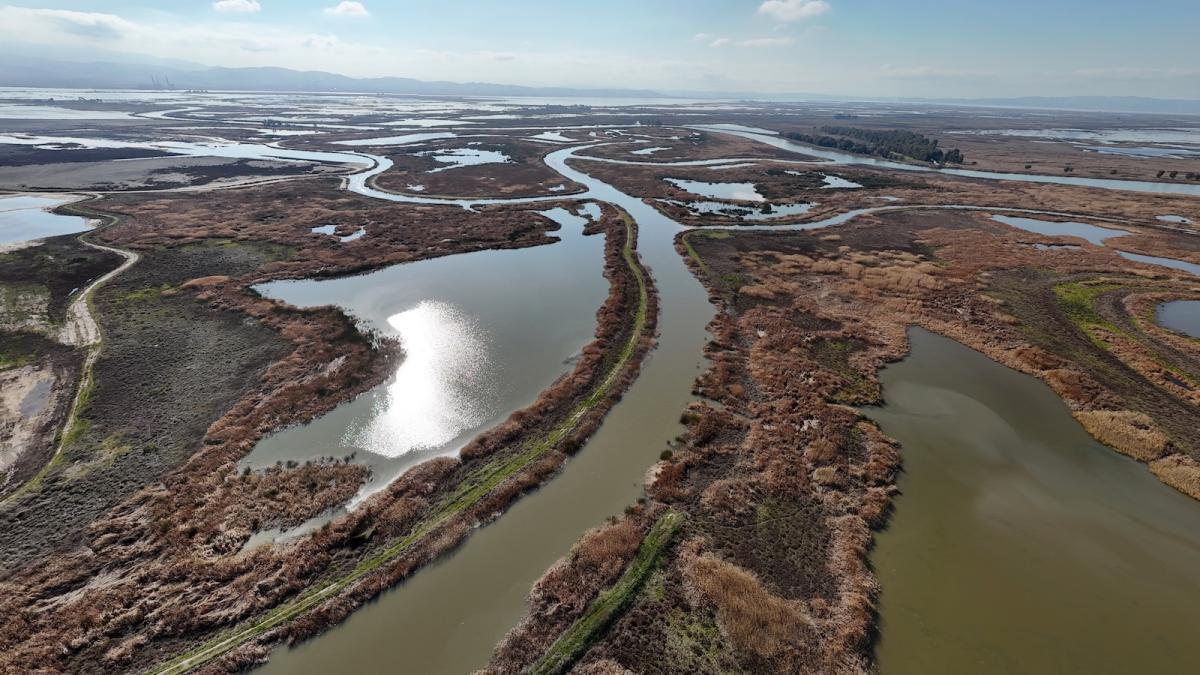 The Montezuma Wetlands of Solano County are seen in an aerial photograph.
