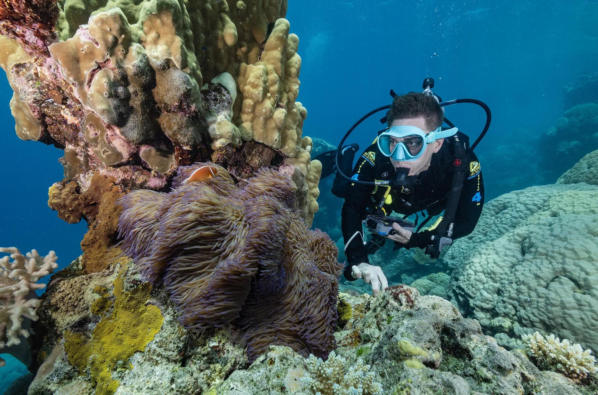 A man scuba dives next to a wall of coral