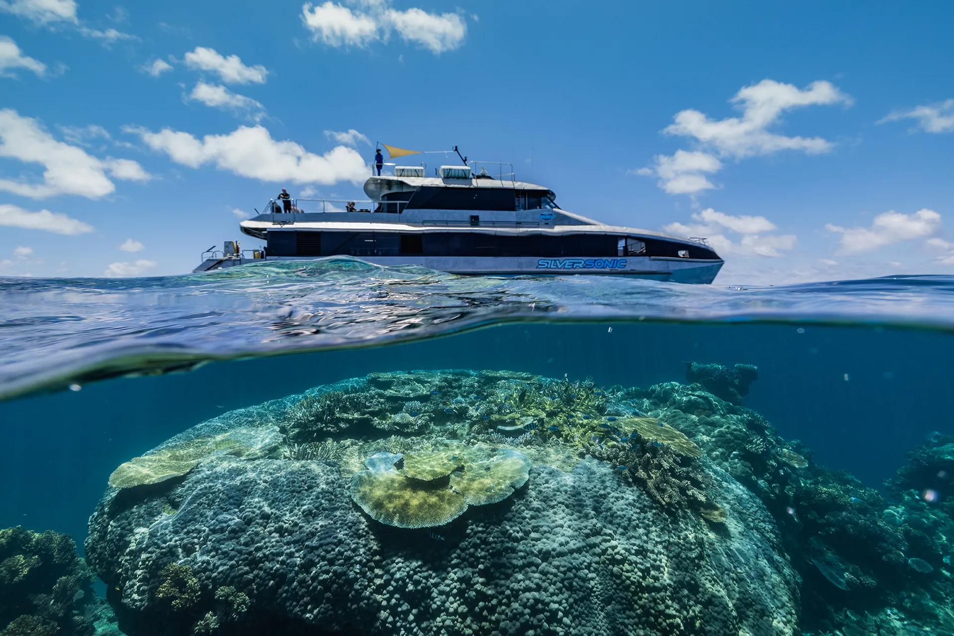 A large white boat sits on top of the water above a stand of coral