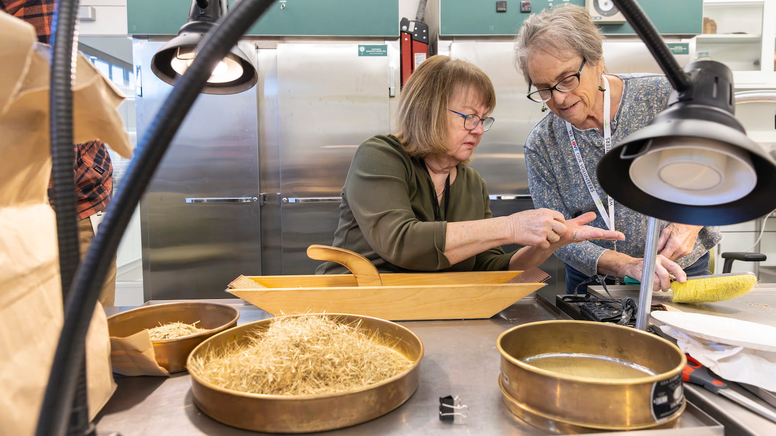 Volunteers handle small seeds inside a Chicago Botanic Garden lab