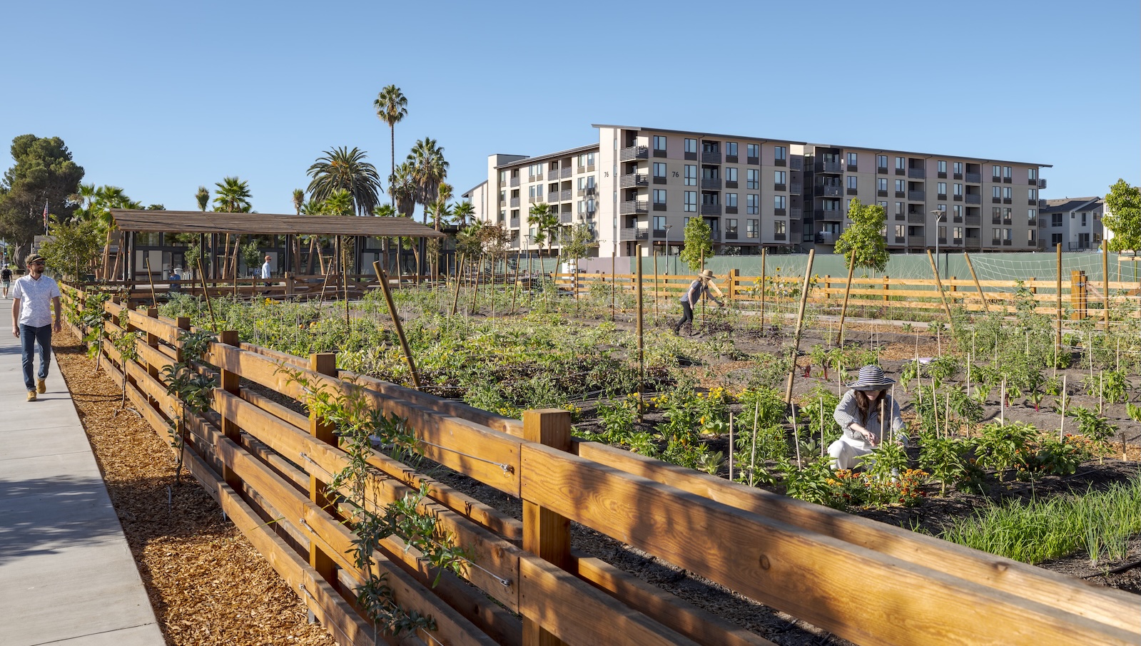 grist.org - Matt Simon - What happens when a neighborhood is built around a farm