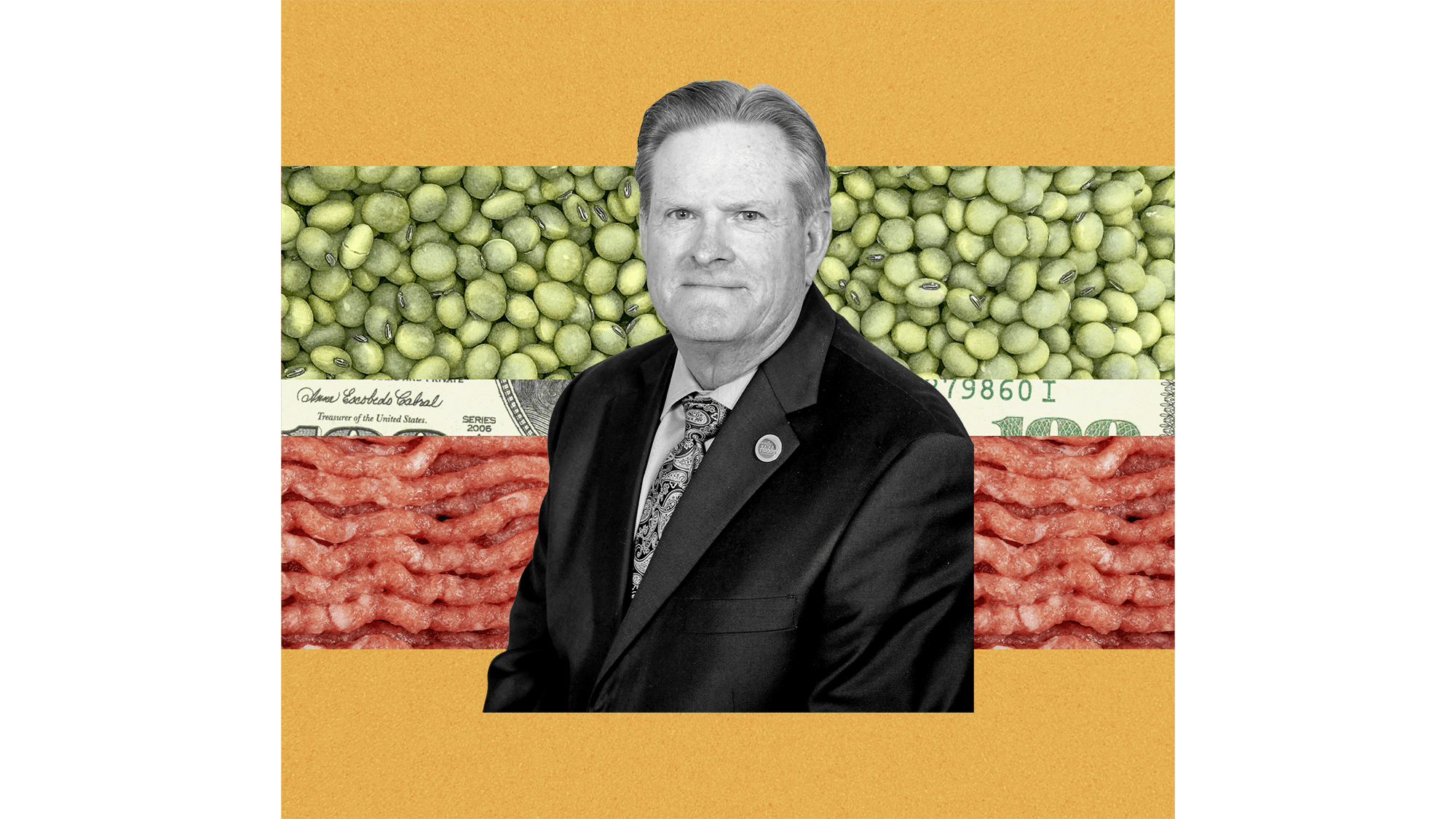 collage of a cutout of a man on top of a pattern of soybeans, a one hundred dollar bill, and ground beef