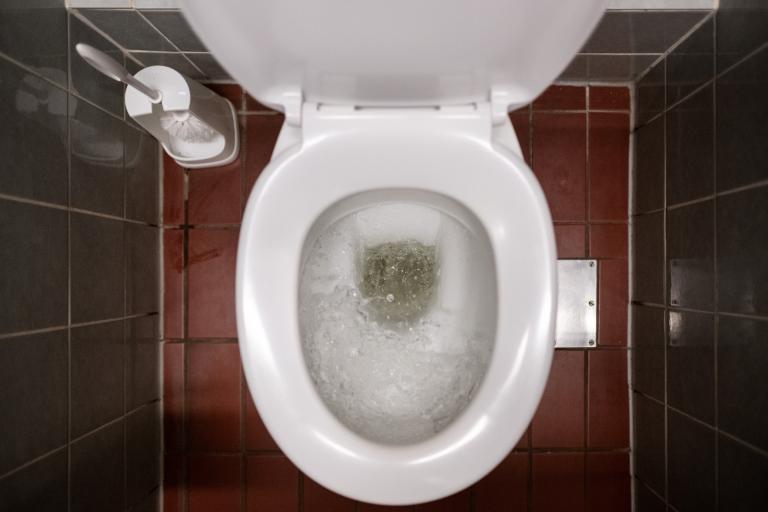 17 June 2024, Berlin: The water flushes in a toilet. Berliner Wasserbetriebe held its annual press conference on June 17.