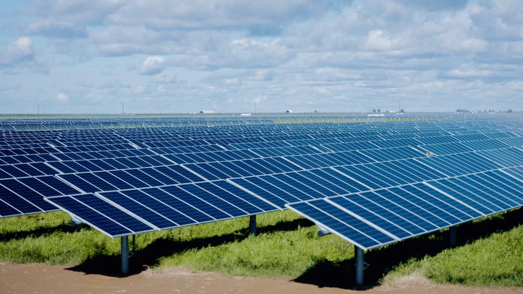 A sea of black solar panels covers a grass field