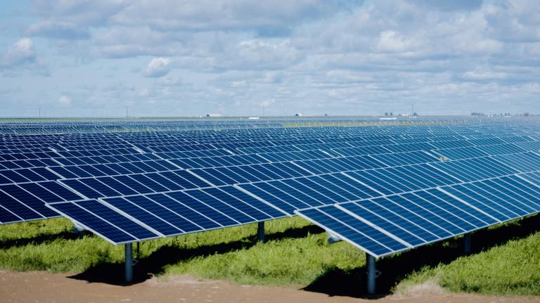 A sea of black solar panels covers a grass field