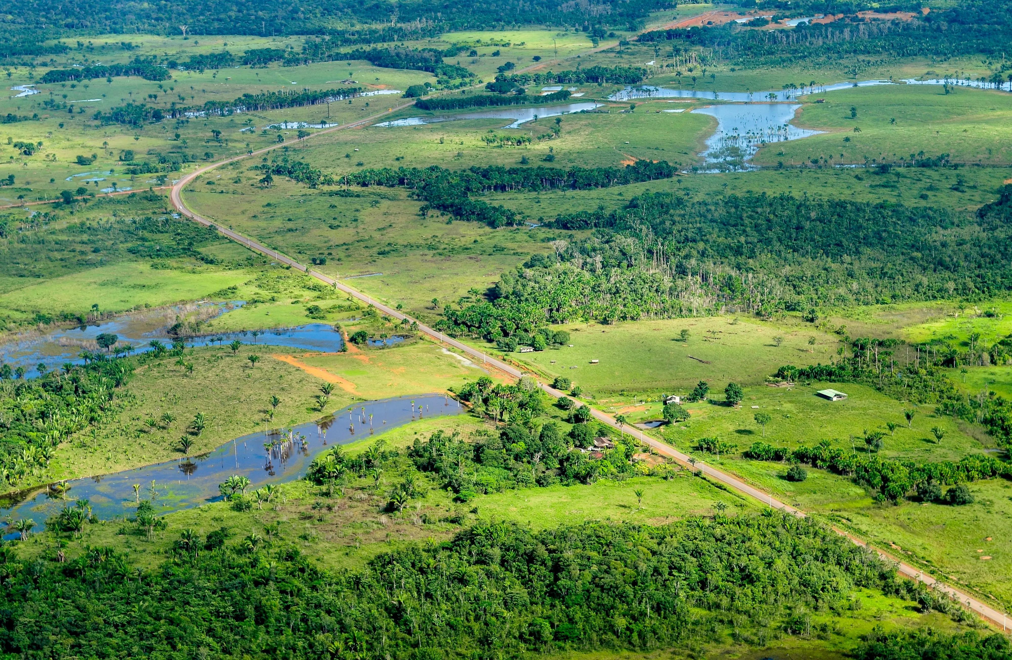 An aerial view of green fields and forest