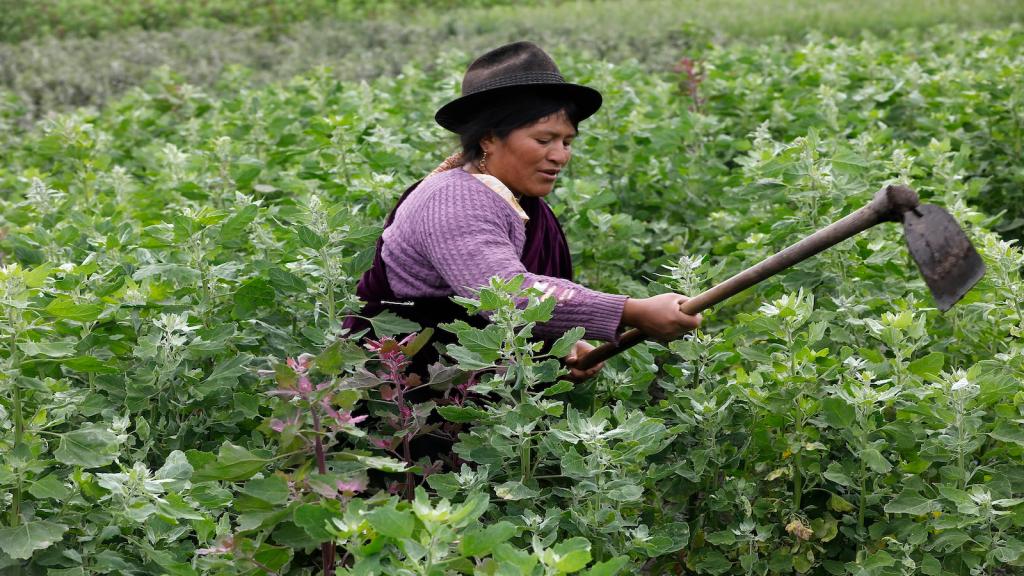 Woman working in field