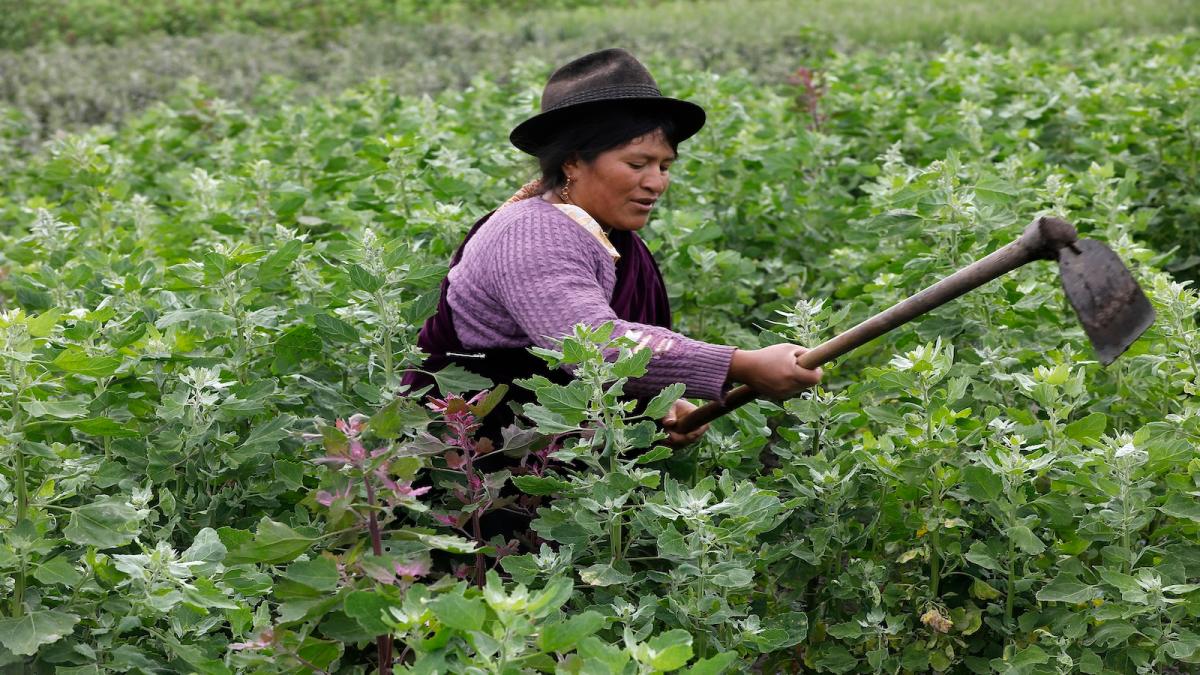 Woman working in field