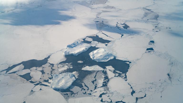 overhead view of sea ice floating in a bay near Greeland