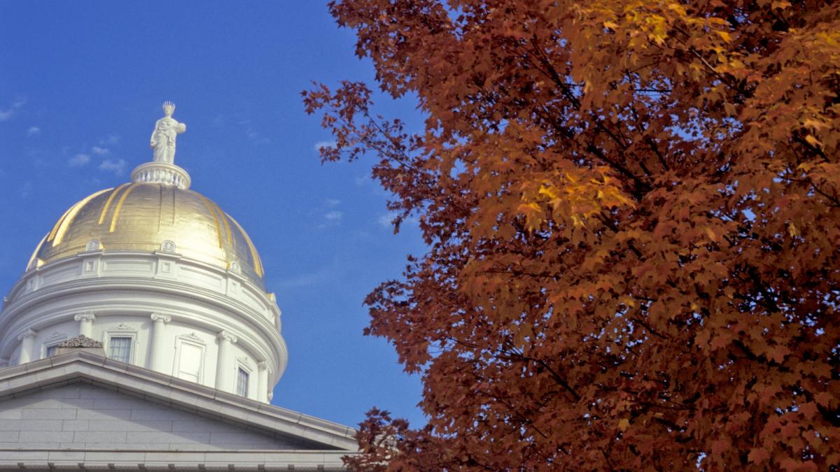 A building with a shiny gold circular top stands next to an orange tree