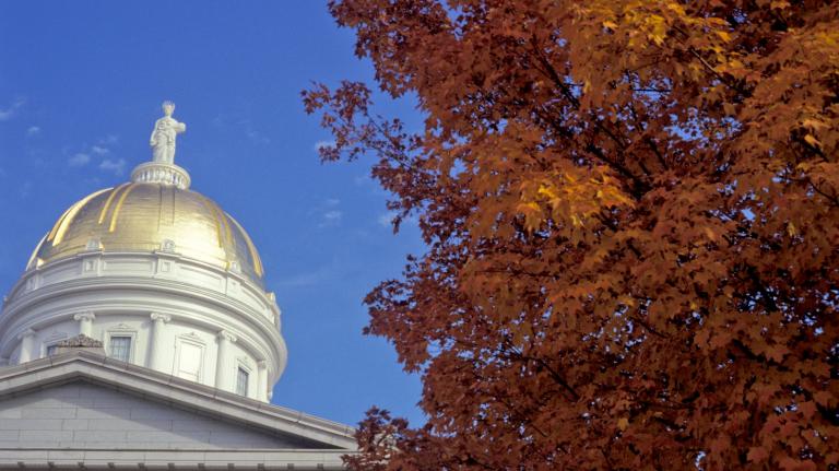 A building with a shiny gold circular top stands next to an orange tree