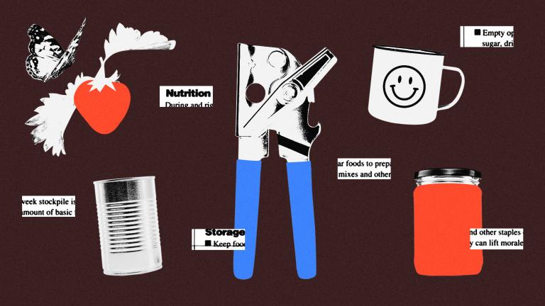 Collage of can opener, can, tomato jar, coffee mug, and butterfly beside a strawberry