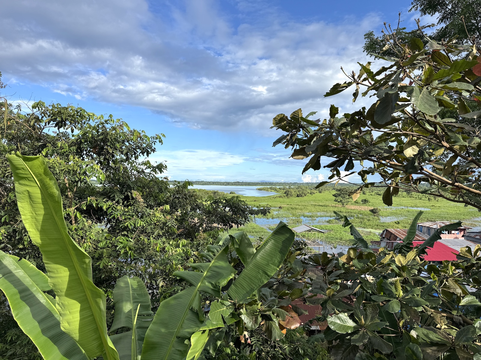 lush forest near a flatter green area with blue sky above