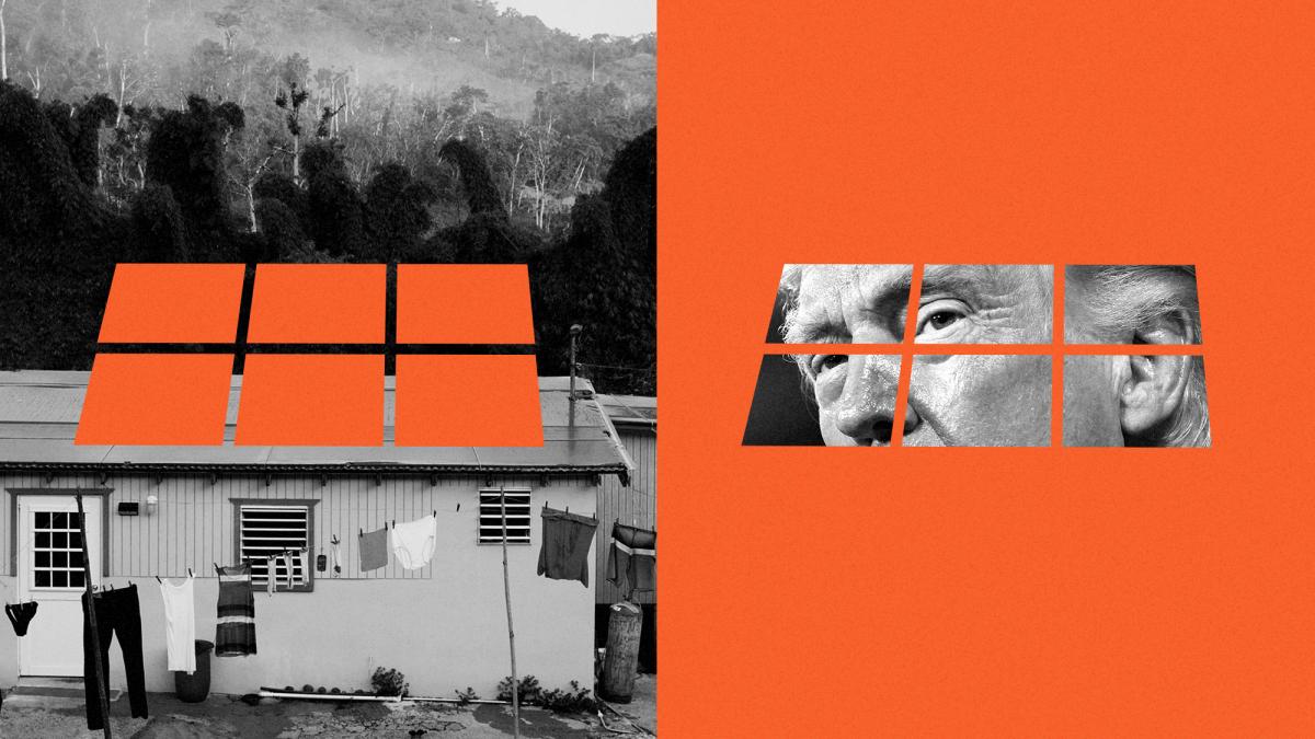 Collage of solar panel cut out and missing from a Puerto Rican rooftop on the left, with photo of Trump filling in the shape of a solar panel on the right
