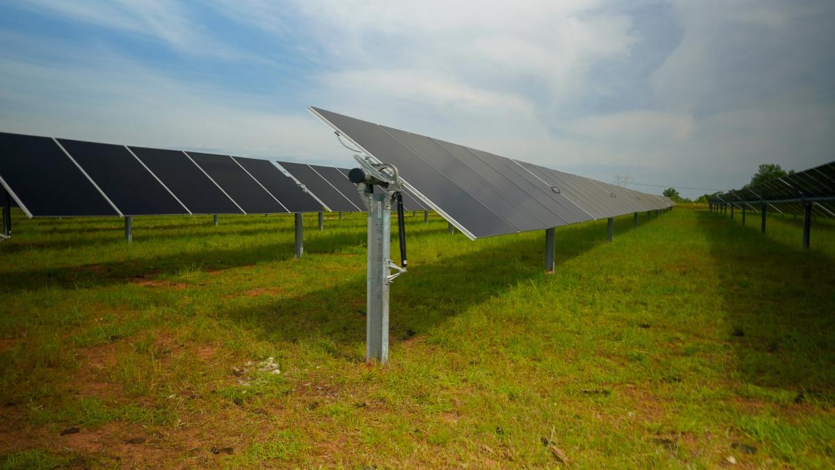 solar panels in a field