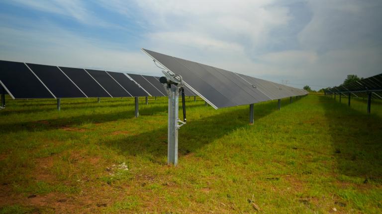 solar panels in a field
