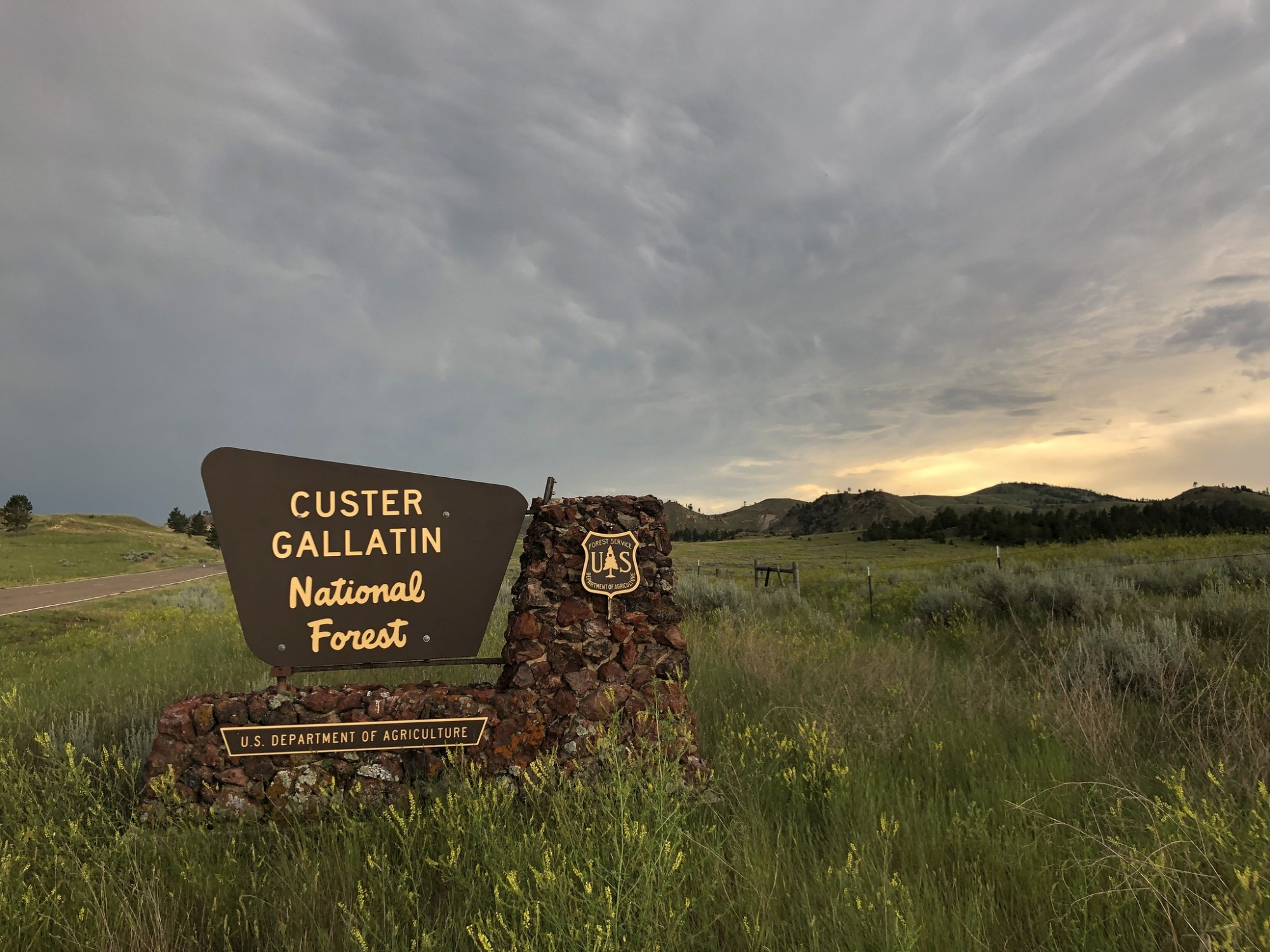 A sign that says Custer Gallatin National Forest in a field