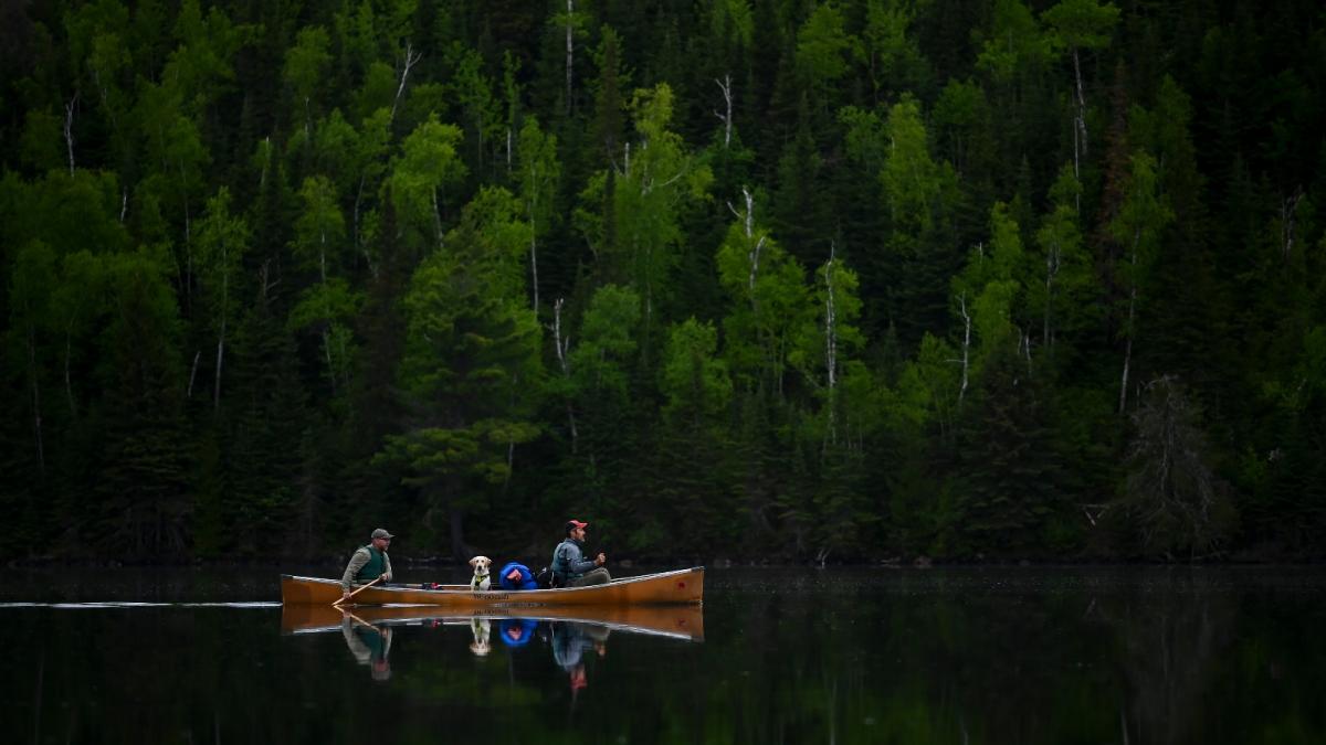 Canoers paddle through the Boundary Waters in northern Minnesota.