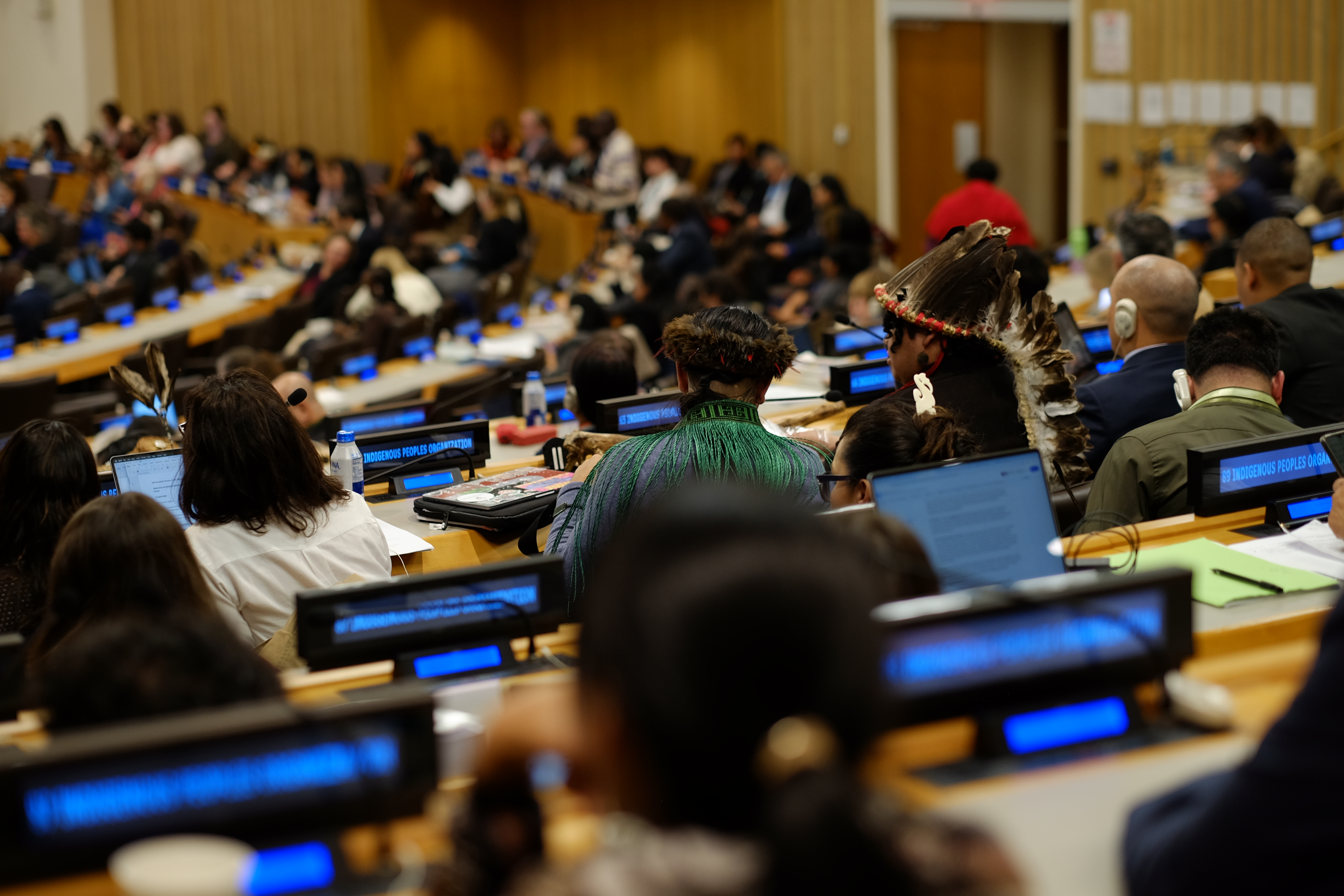 AI is a double-edged sword for Indigenous land protection, UN experts ...