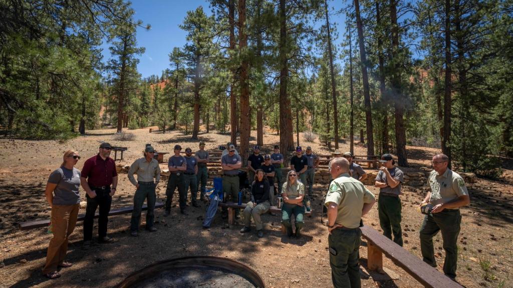 People in green uniforms stand around in a circle in a forest