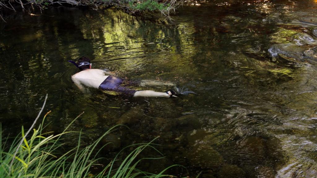 Man swimming in stream