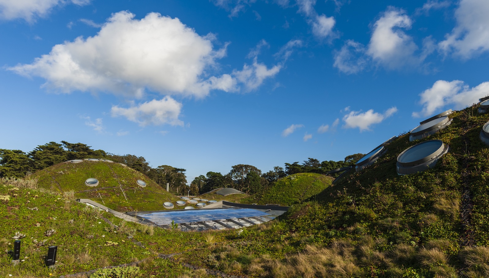grist.org - Matt Simon - The huge, untapped potential of planting rooftop gardens in cities