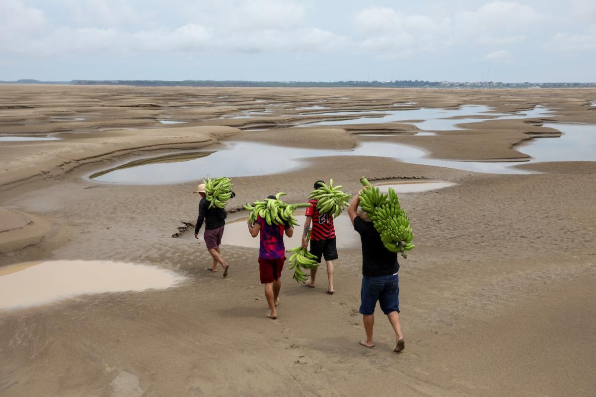 Aerial view of riverbank dwellers carrying banana produce over the dry Solimoes riverbed