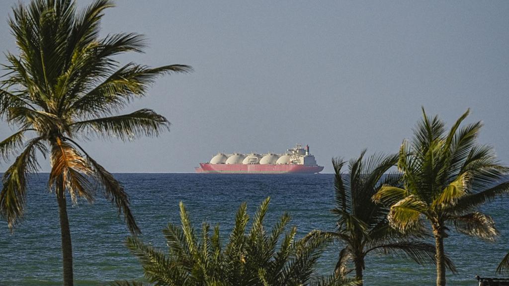 Ship in the distance on the water with palm trees in the foreground