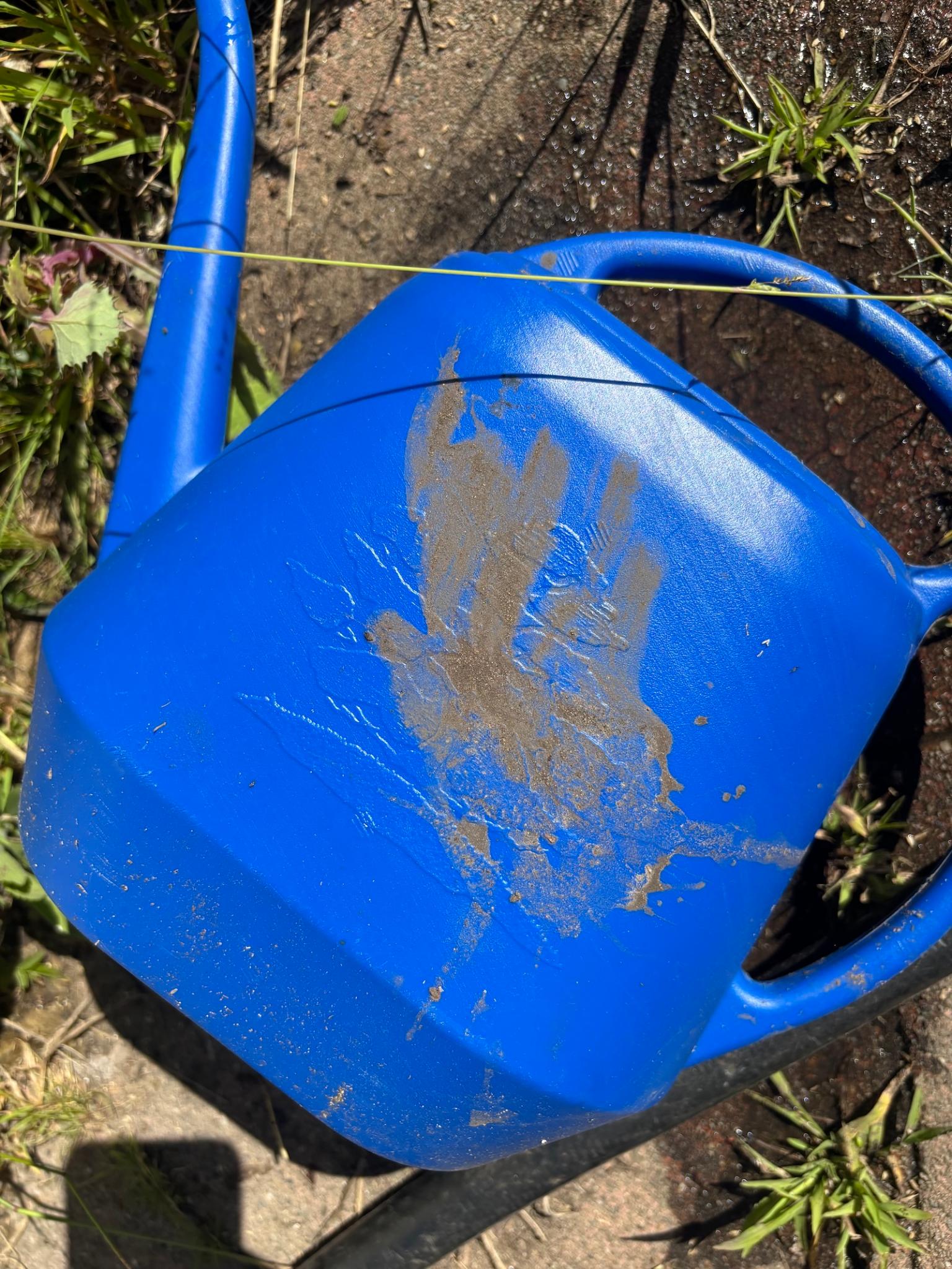 Post image 2