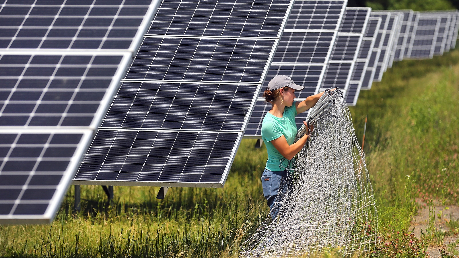 Woman wearing a green shirt and a baseball hat holds wire fencing in front of solar panels
