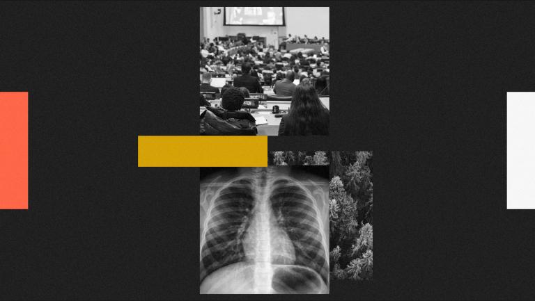 digital collage with photos of people attending the United Nations Permanent Forum on Indigenous Issues, a chest x-ray, and trees, with red, yellow, and white rectangles