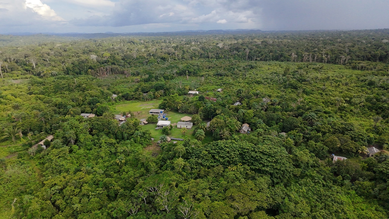 A view of a small village in the middle of a green forest