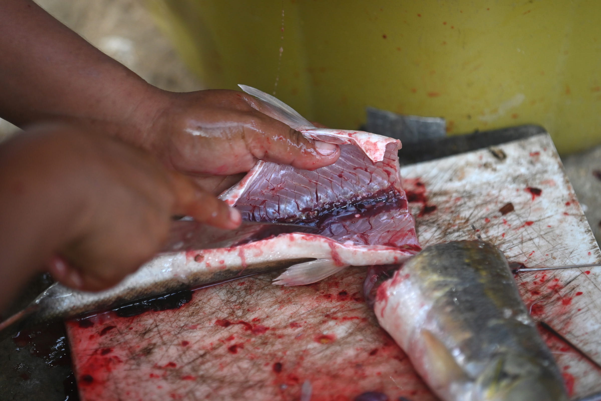 A woman cuts fish