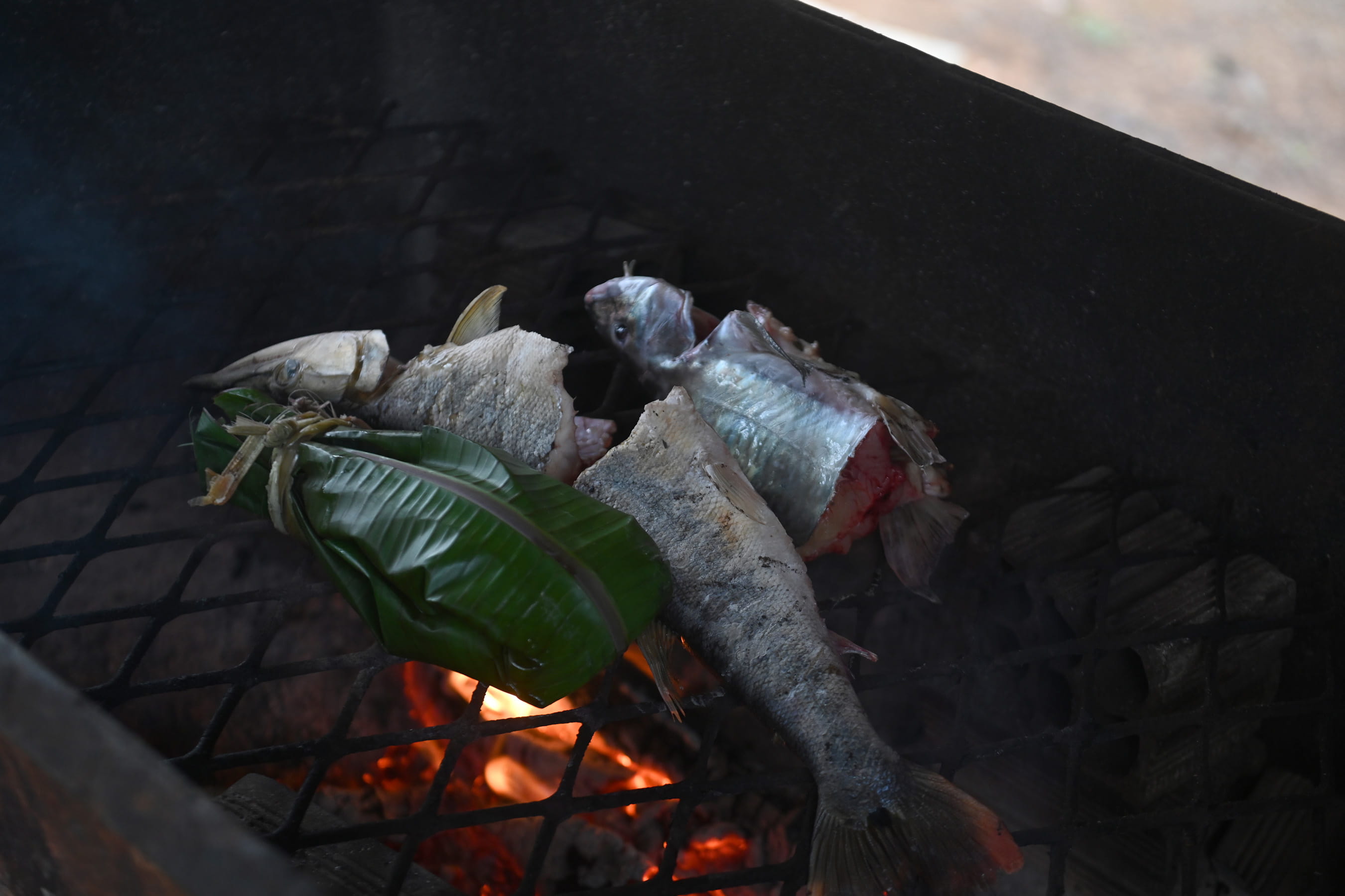 Fish grill over a fire