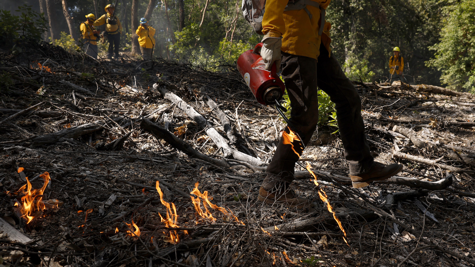 A crew walks through a wooded area igniting small fires