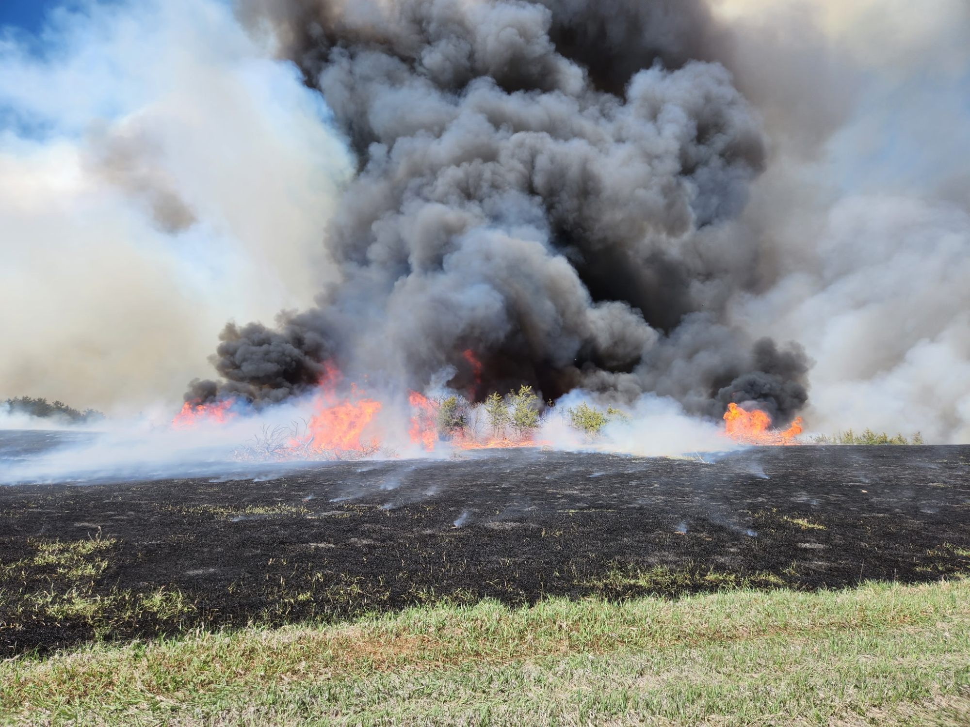 A prescribed burn conducted south of Callaway, Nebraska in 2022 by the South Loup Burn Association.