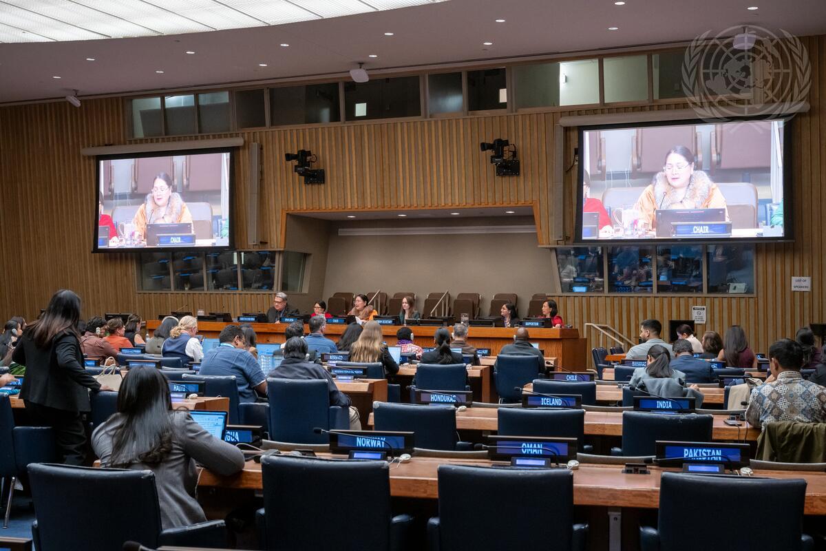 grist.org - Anita Hofschneider - The uncertain future of the UN's leading voice on Indigenous rights