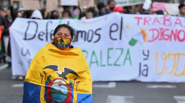 A woman dressed in a Ecuador mask and ecuador flag stands in front of a protest banner
