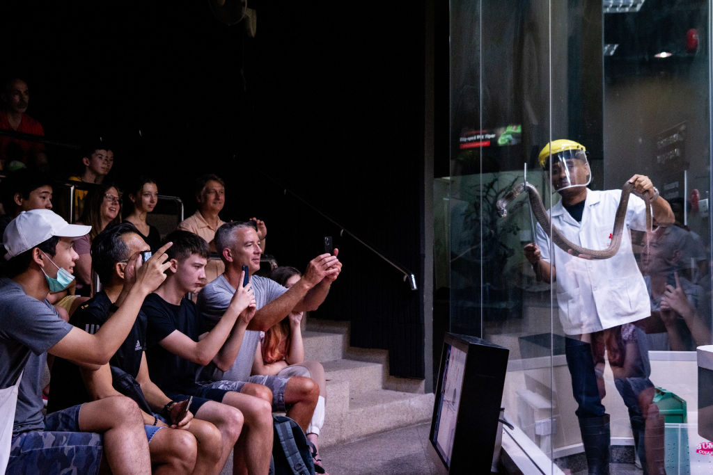 A man in front of crowd holding a snake