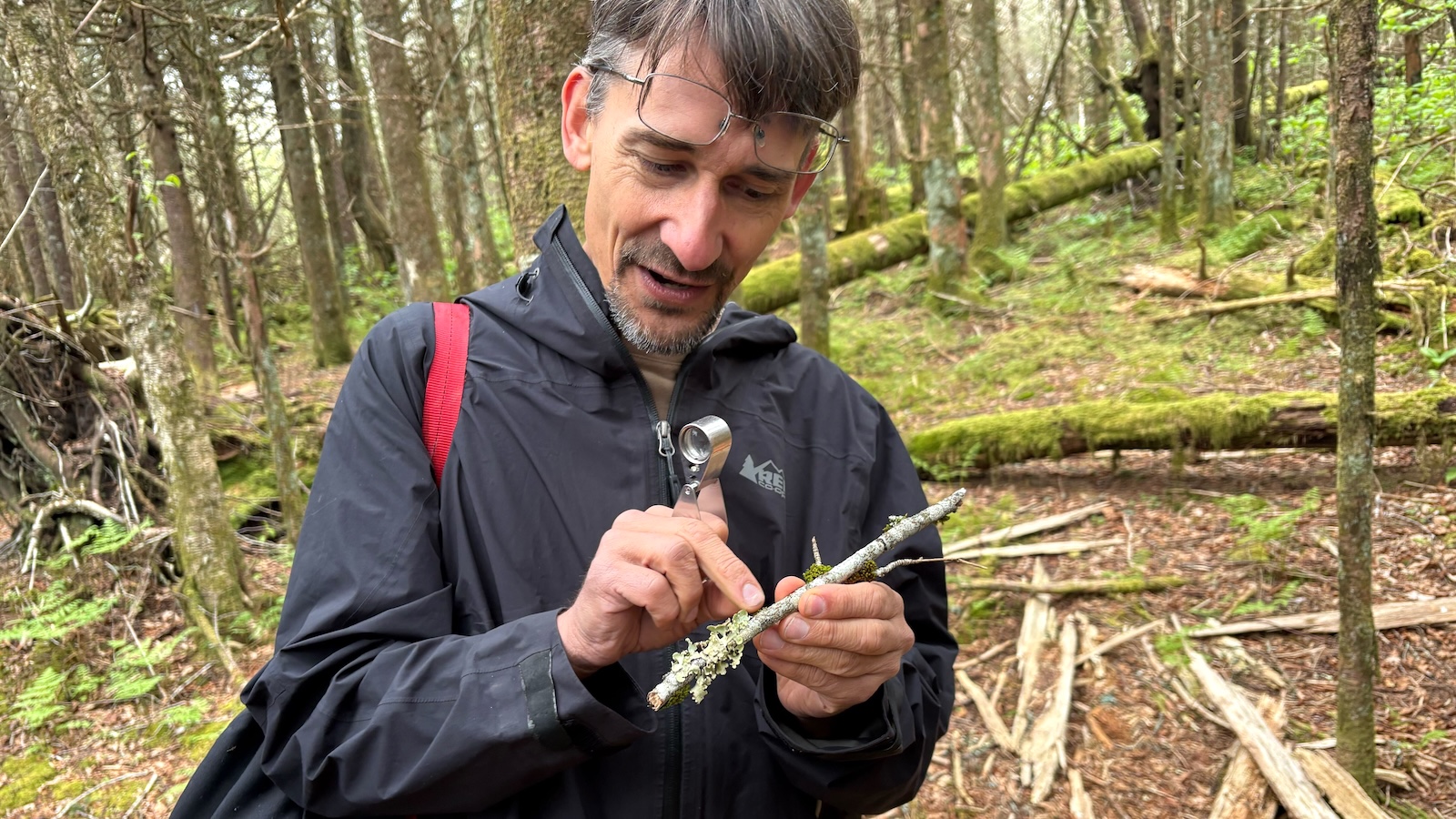 A man in Great Smoky Mountain National Park holds a small sample of lichen and a magnifying glass.