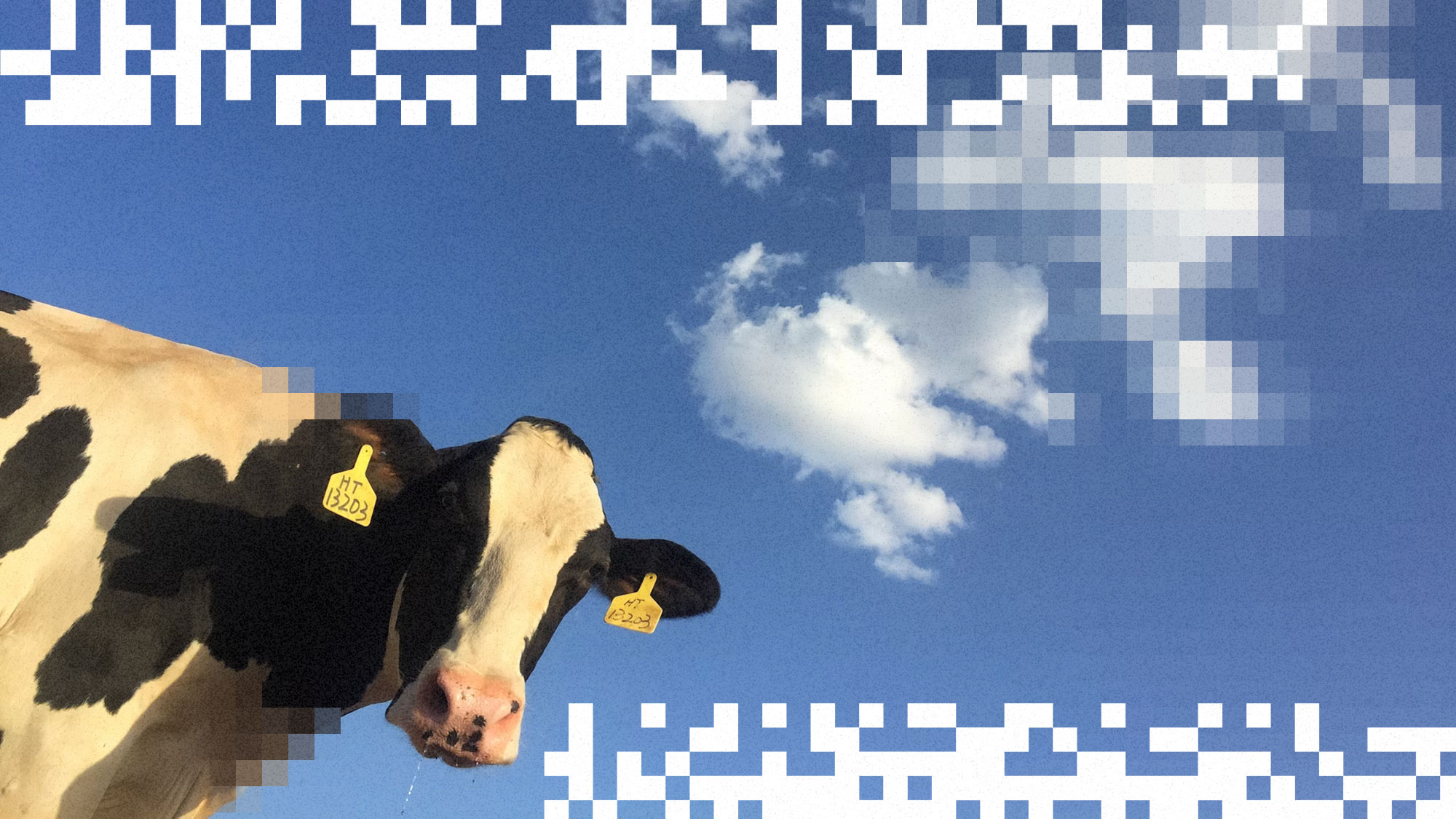 black and white cow against blue sky with clouds with white pixel graphics