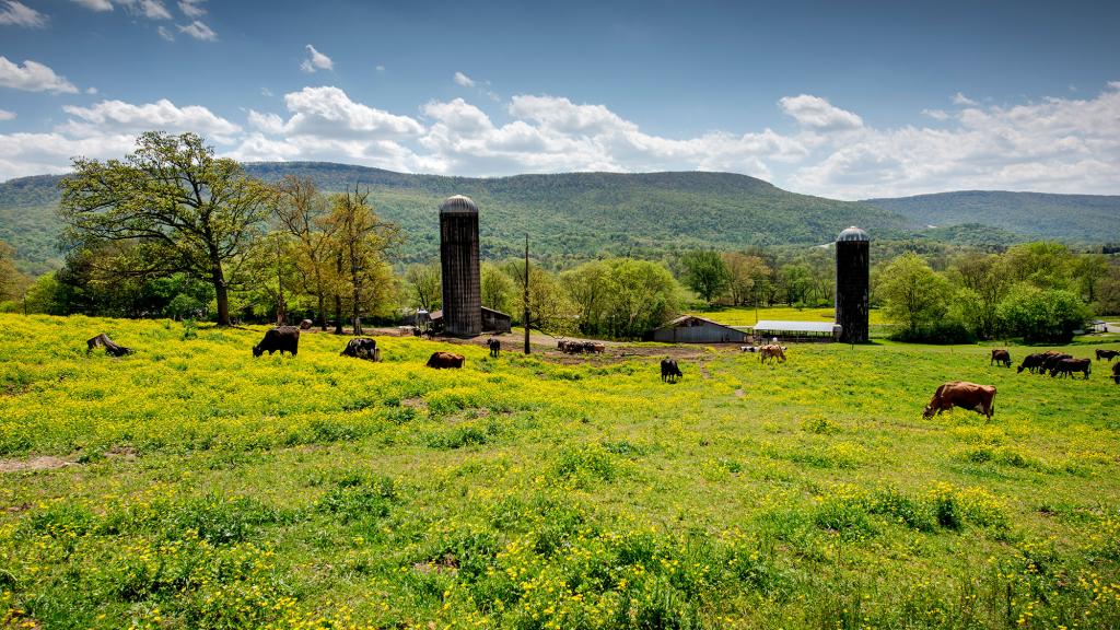 farmland with silos and cows