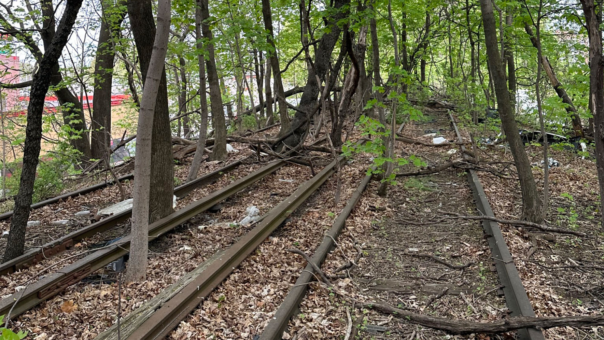 abandoned railroad tracks in a wooded area