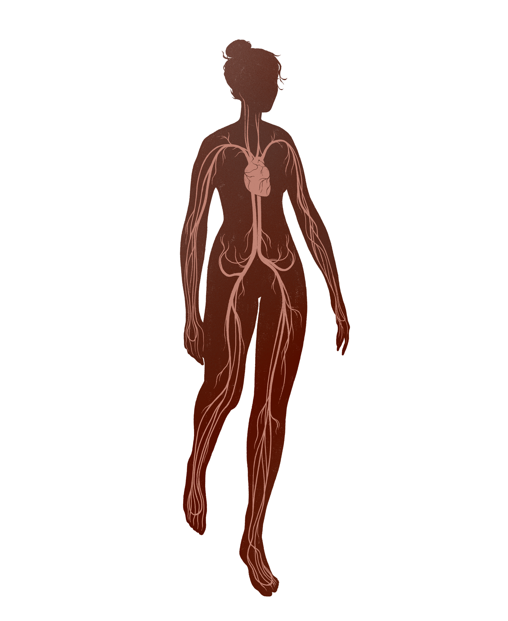 silhouette-cardiovascular