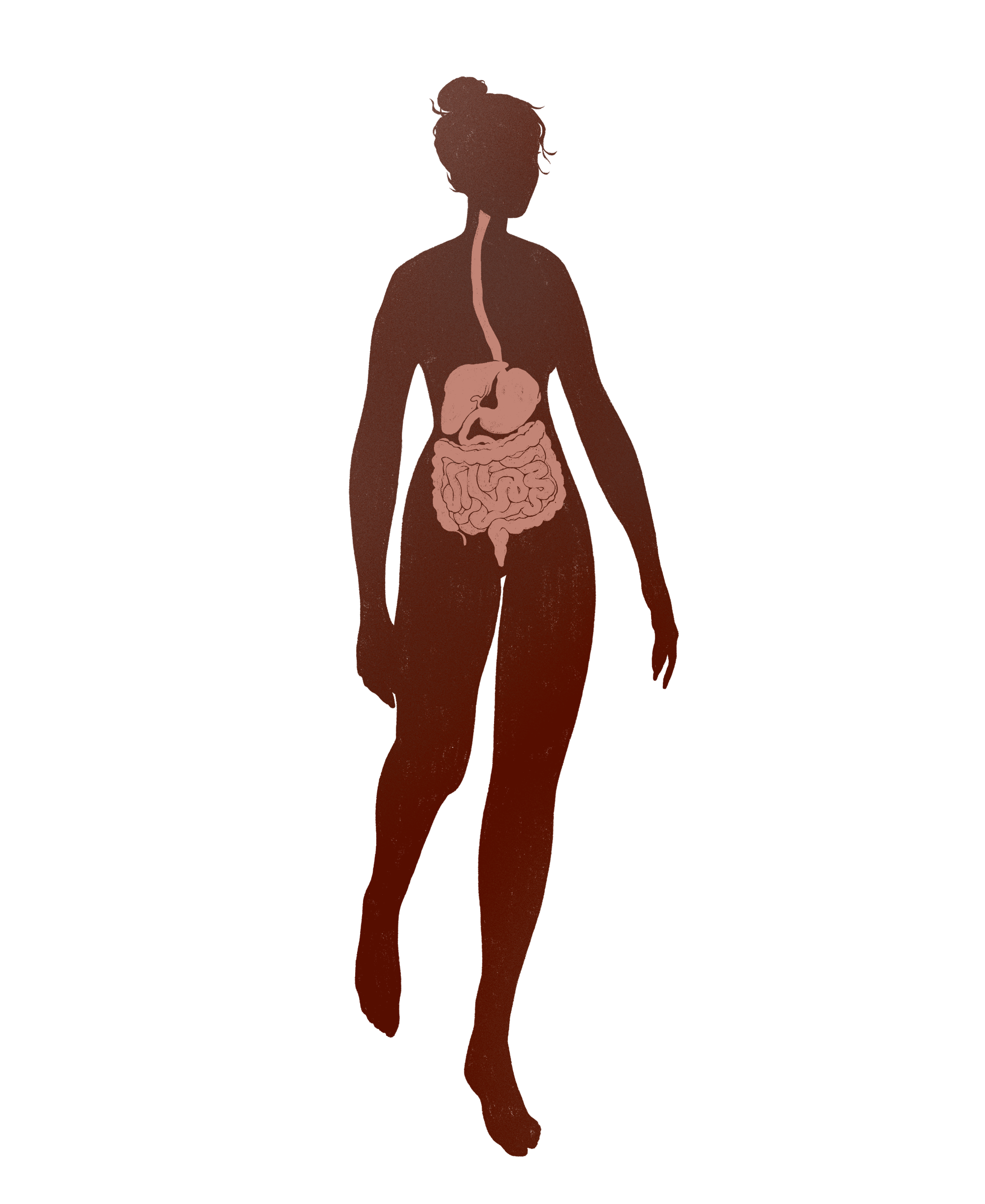 silhouette-gastro